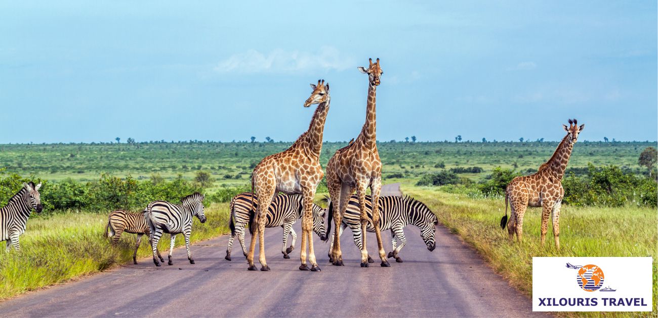 South-Africa-Xilouris-travel-3