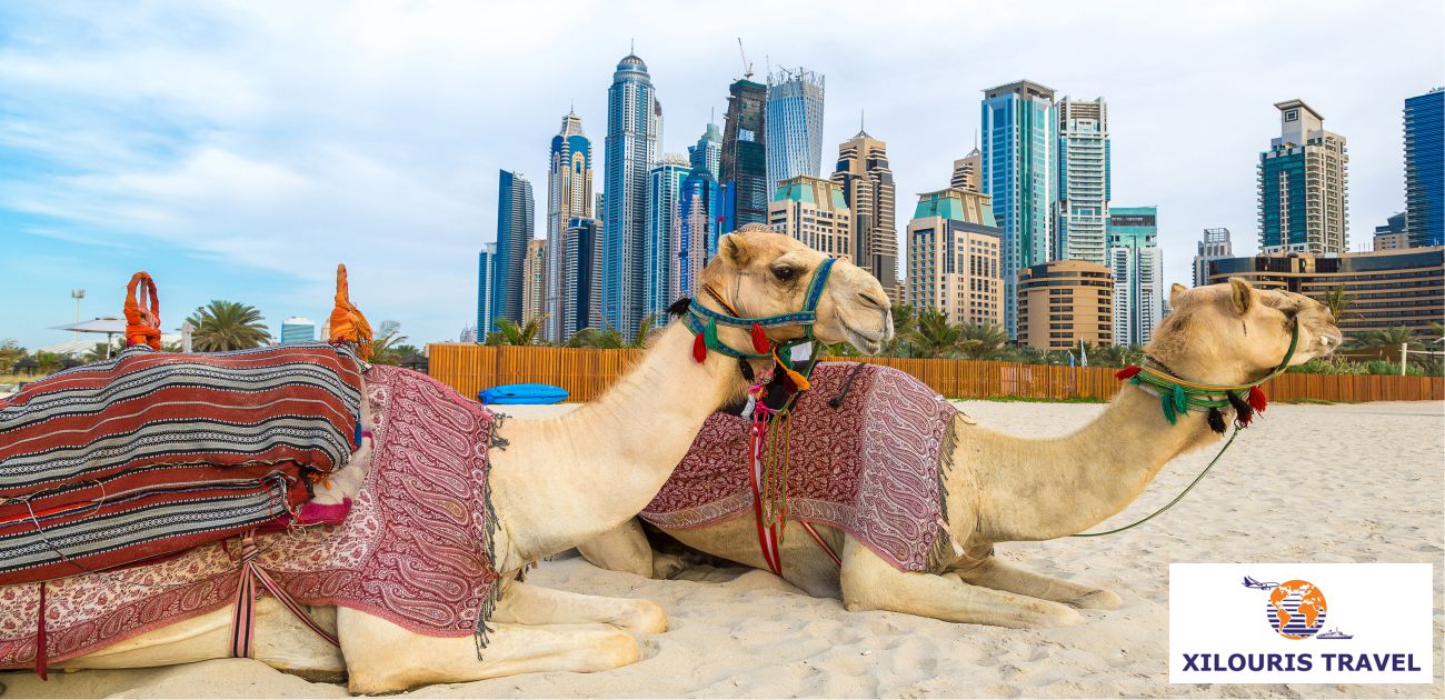UAE-xilouris-travel-4