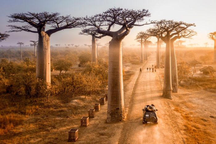 Μαδαγασκάρη – Ο δρόμος των φυλών και το εξωτικό νησί Νόσι Μπε | 01.05.2024 (Πάσχα 2024)