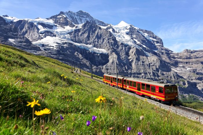 Πανόραμα  Ελβετίας – Αλπικό  Τρένο